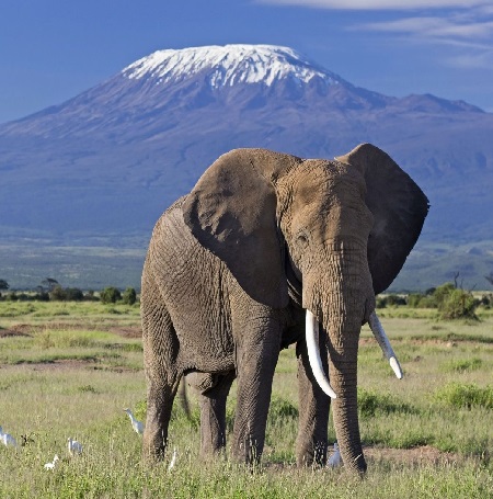 Tanzania Tours