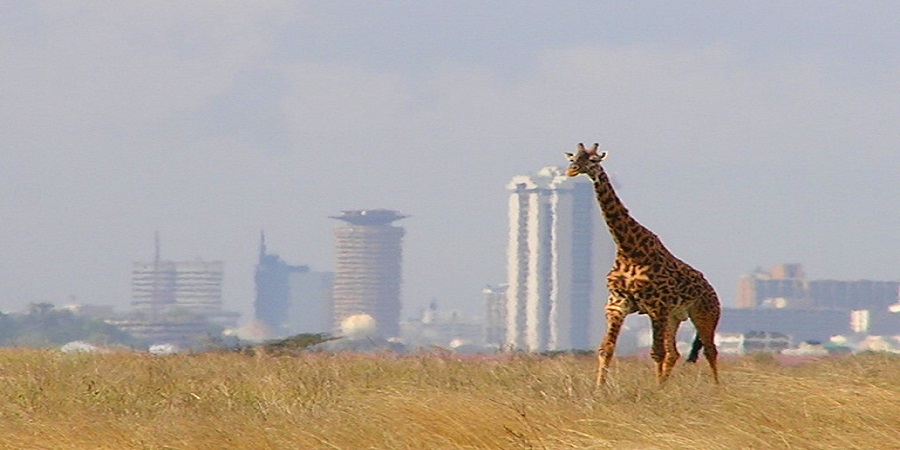 Things To Do In Nairobi 2024-2025 