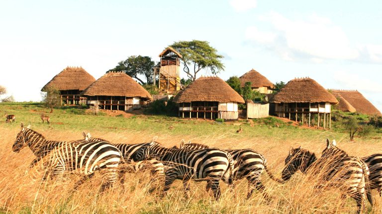 Uganda Safari from Entebbe