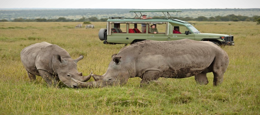 Discover Our Top Best Uganda Camping Safari Itineraries